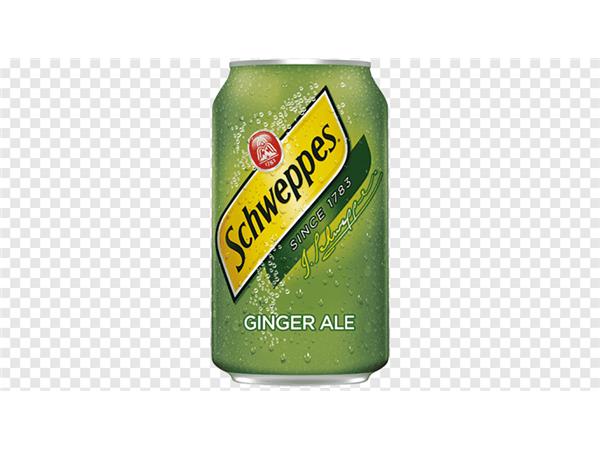 15-REFRIGERANTE SCHWEPPES LATA